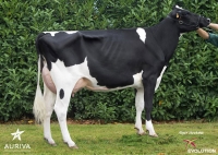 JUICY - Prim'Holstein